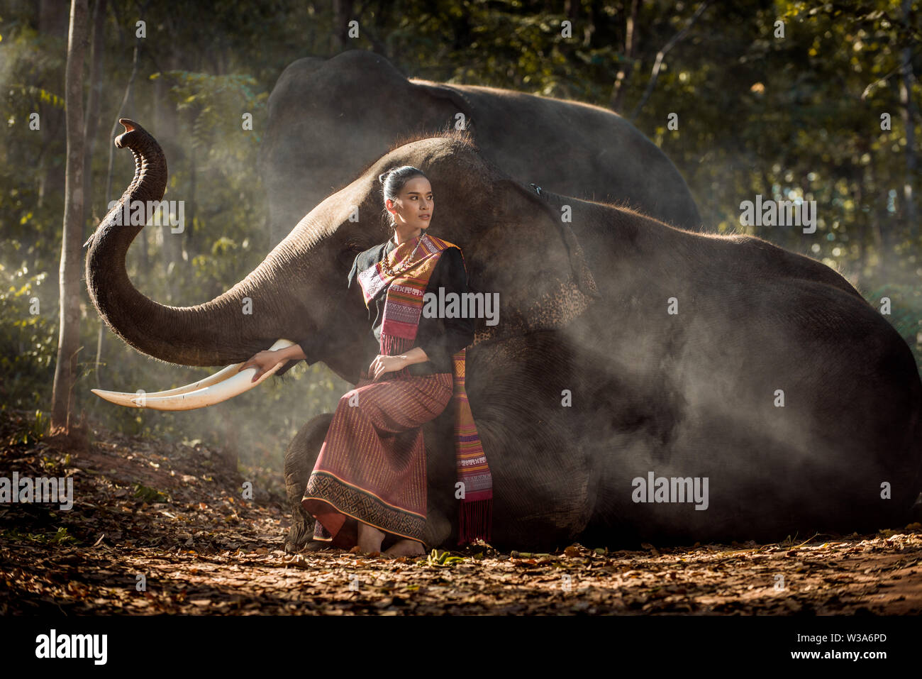 Elephant with beautiful girl in asian countryside, Thailand Thai