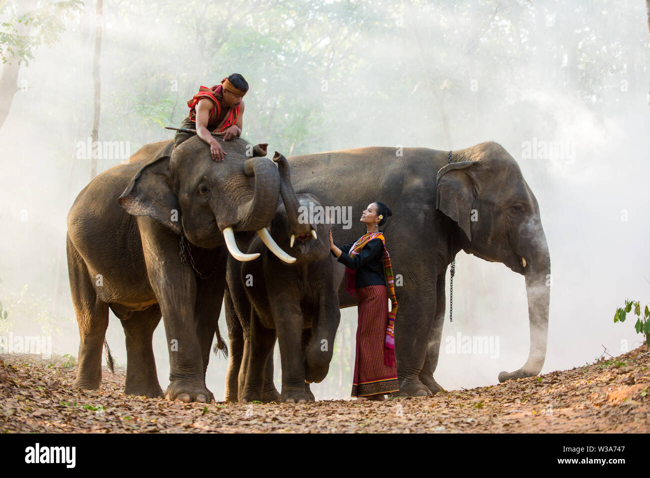 Elephant with beautiful girl in asian countryside, Thailand Thai