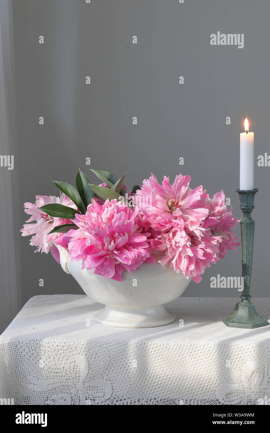 Pink peony flowers in a white bowl on a white table. White background. Still life. Light morning light in white interior. Stock Photo