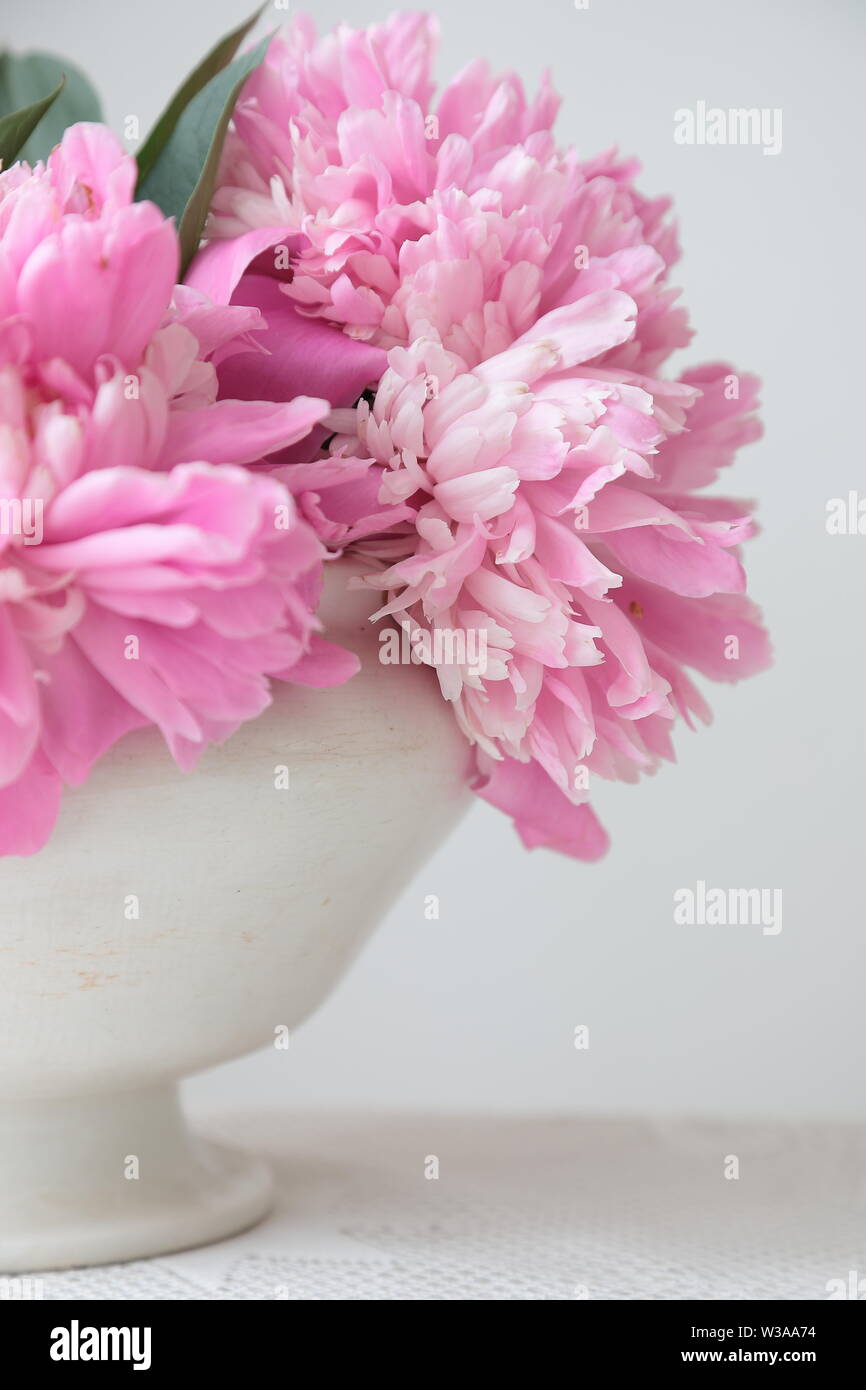 Pink peony flowers in a white bowl on a white table. White background. Still life. Light morning light in white interior. Stock Photo