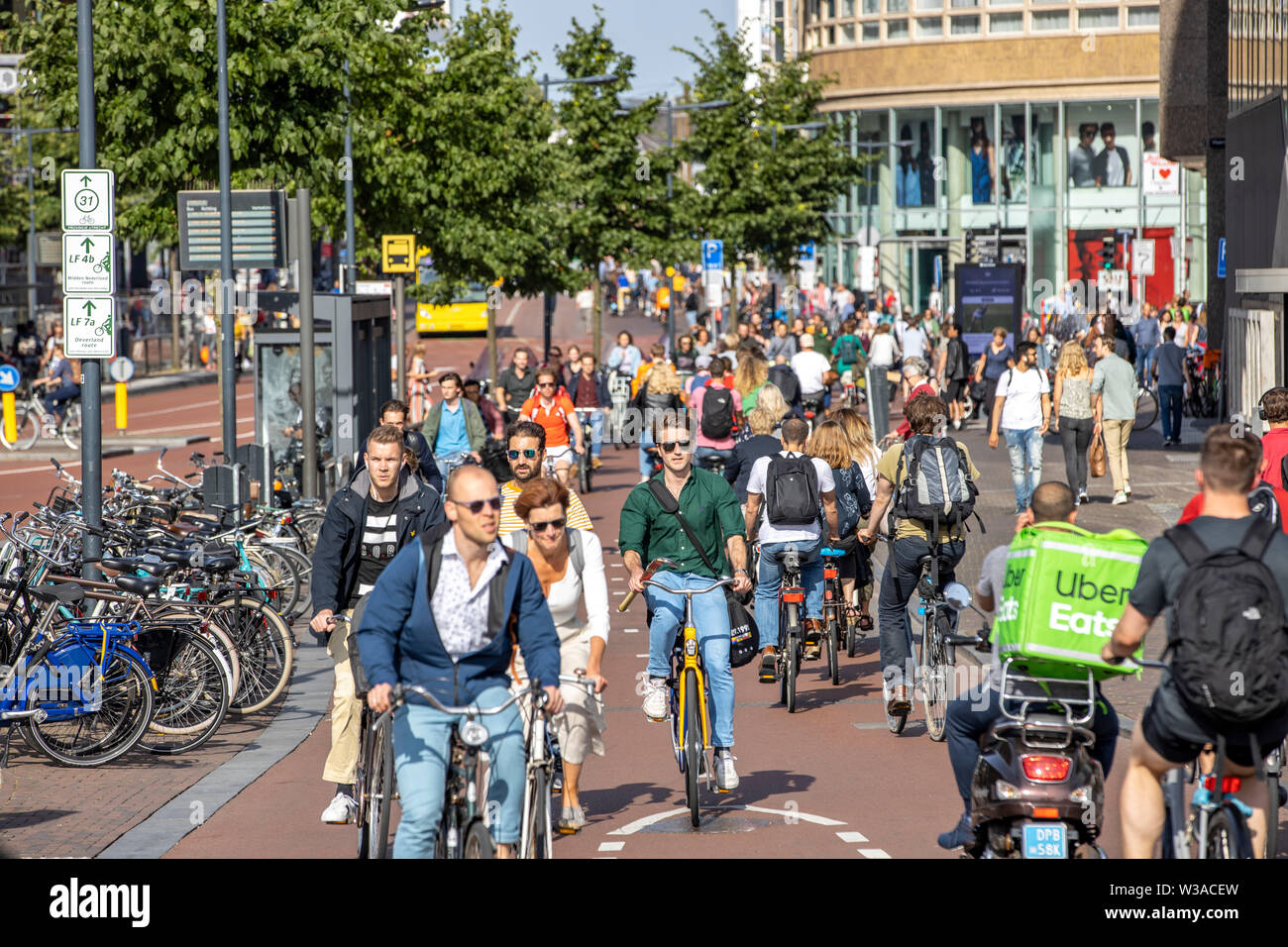 ik ben gelukkig Knorrig Er is een trend Utrecht, the Netherlands, bicycle traffic in the city center, 60% of Utrecht  come by bike in the city, cycle path, bike path, Vredenburg way, Hoog Cat  Stock Photo - Alamy