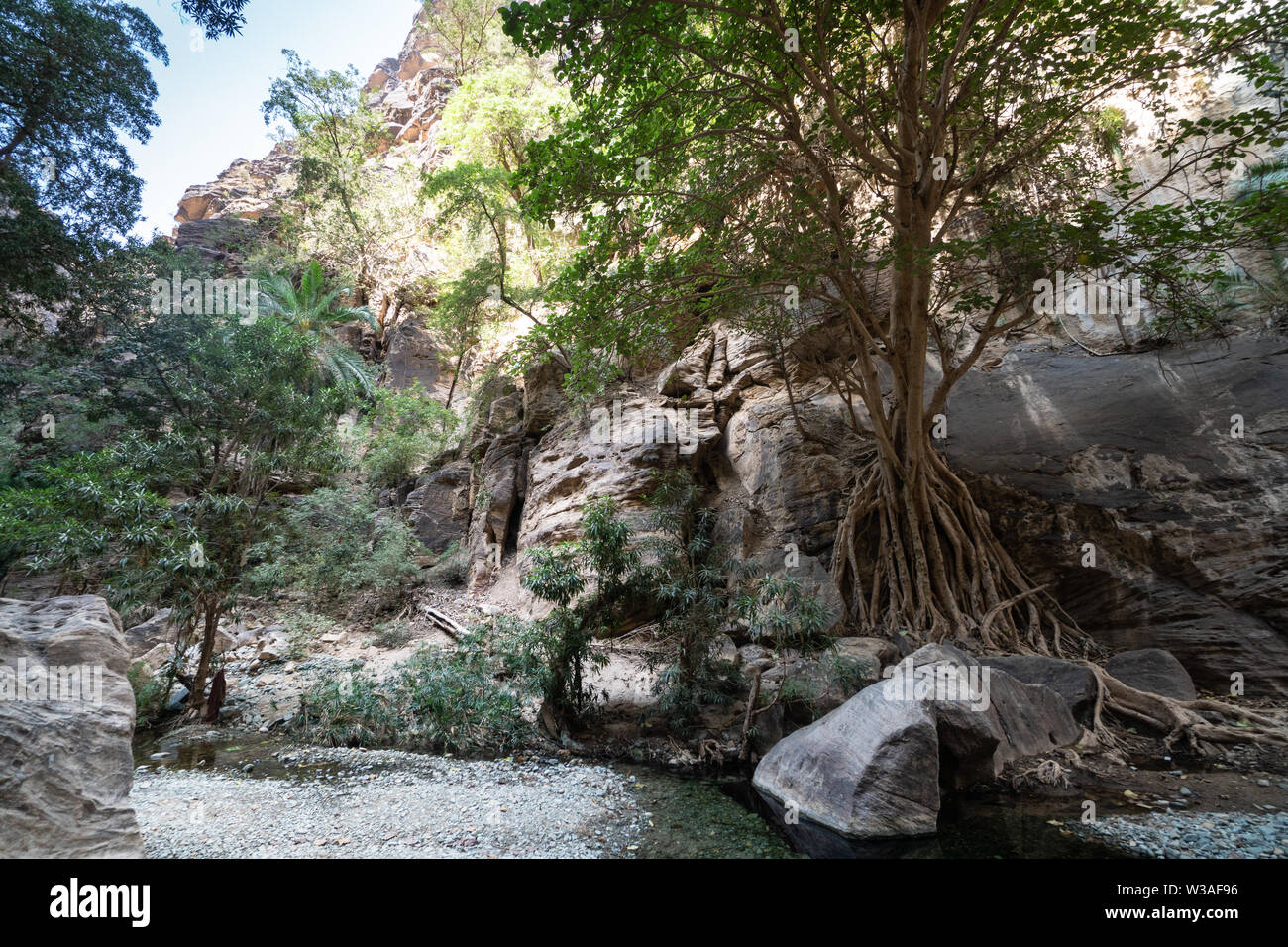 Wadi Lajab in Jizan Province, Saudi Arabia Stock Photo Alamy