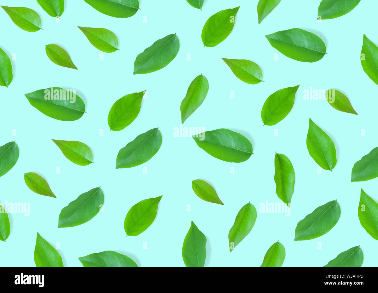 Green seamless leaves hi-res stock photography and images - Alamy