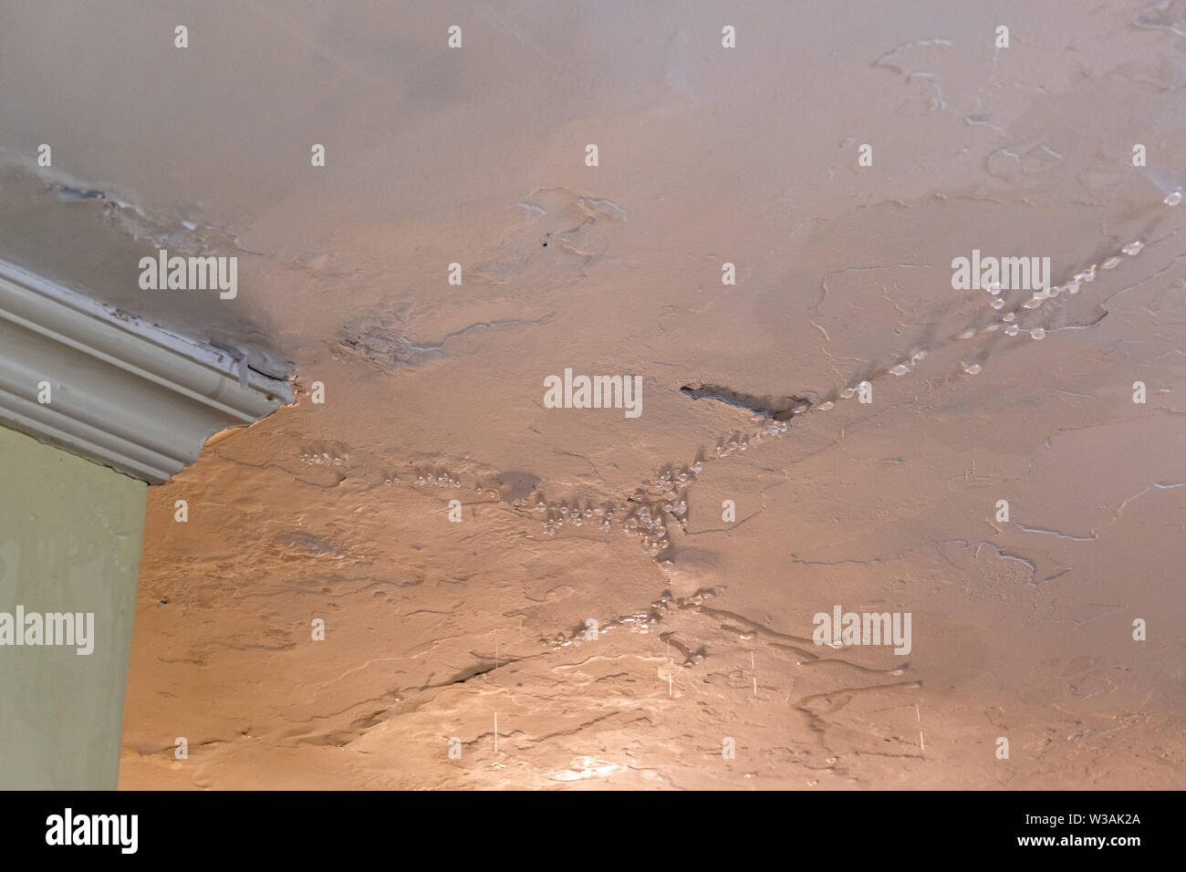 Water dripping from leaking ceiling, water damge concept Stock Photo