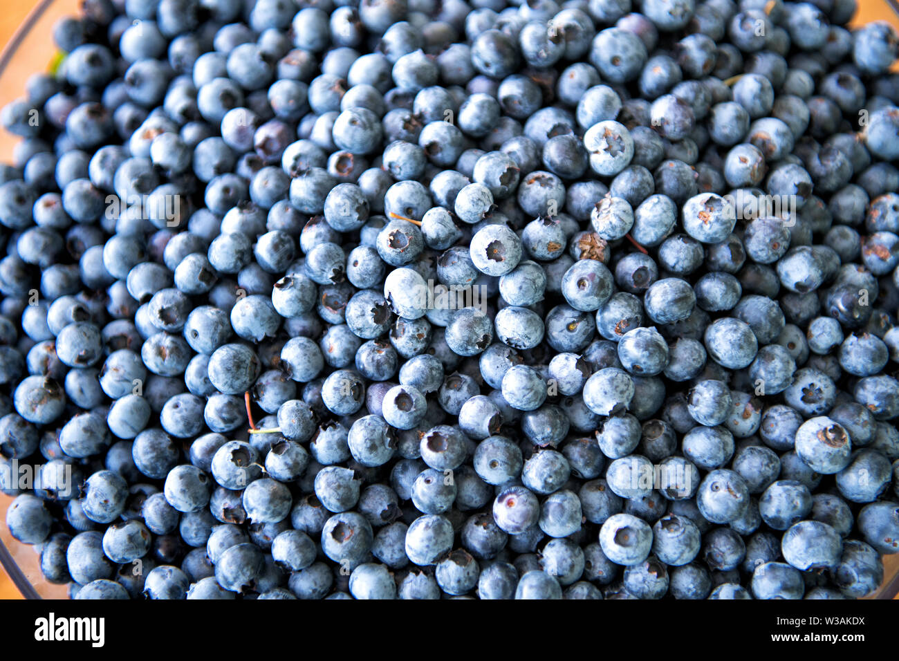 Background texture of freshly picked ripe blueberries in a glass bowl a healthy agricultural crop or home grown summer harvest rich in vitamin C Stock Photo