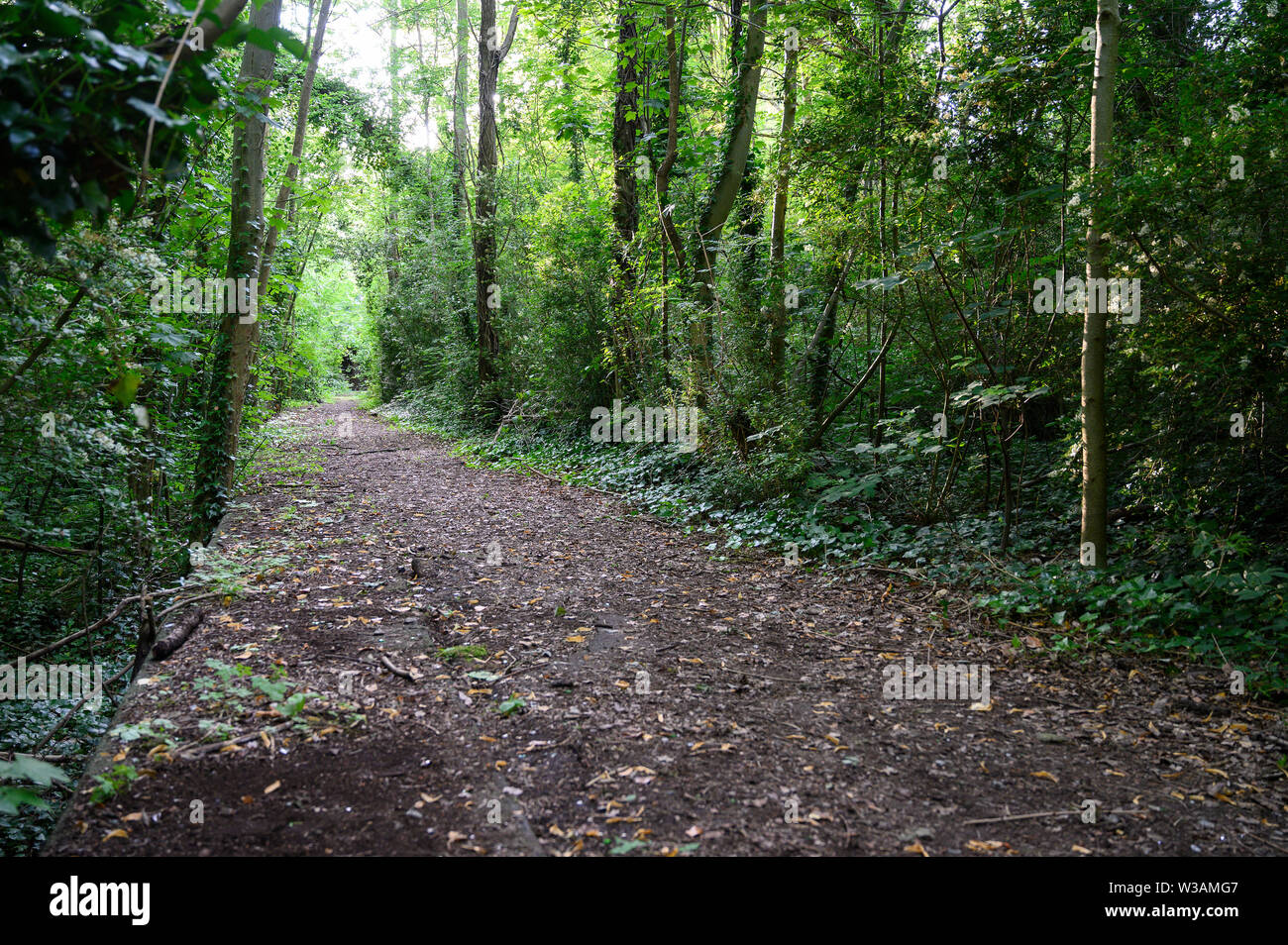Hidden abandoned woodland path hi-res stock photography and images - Alamy
