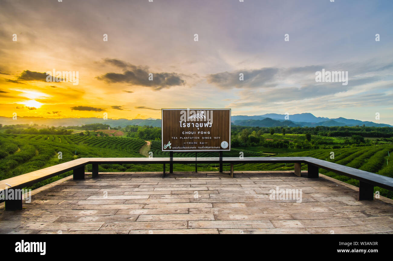 Beautiful sunsets at Chui Fong Tea Plantation, Chiang Rai Province North of Thailand Stock Photo