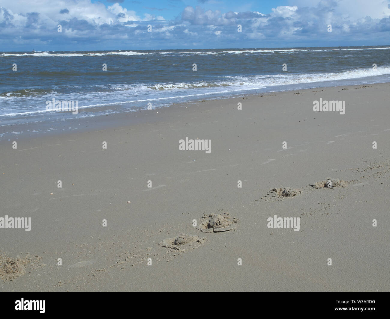 jobangebote norderney