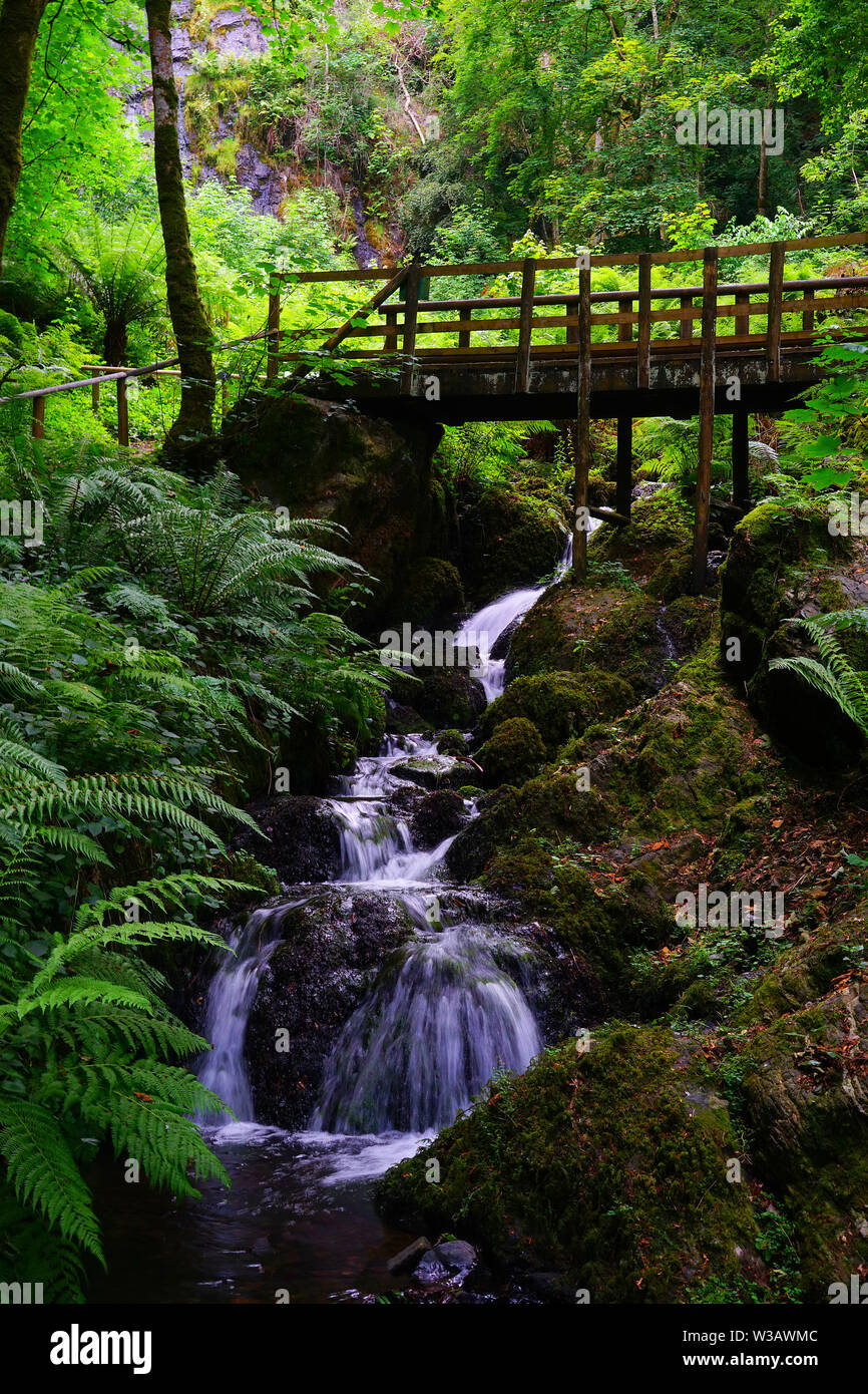 Footbridge at the Canonteign falls Stock Photo Alamy