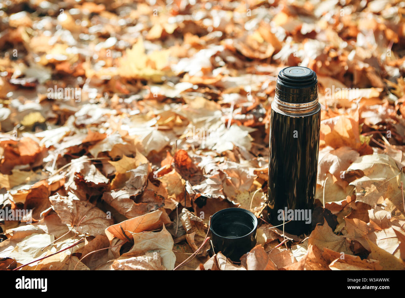 Thermos on the background of autumn leaves. Stock Photo