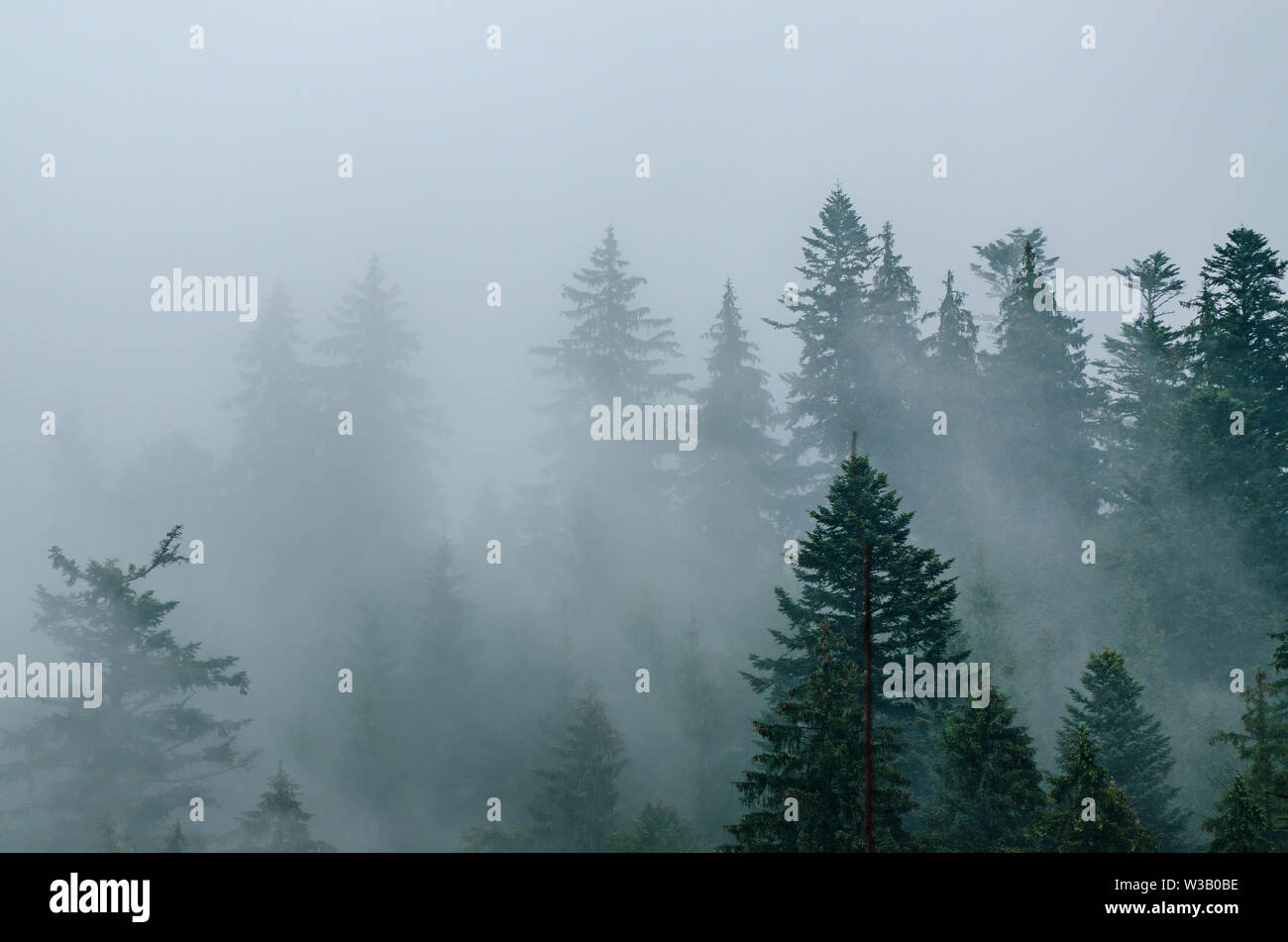Misty mountain landscape Stock Photo - Alamy