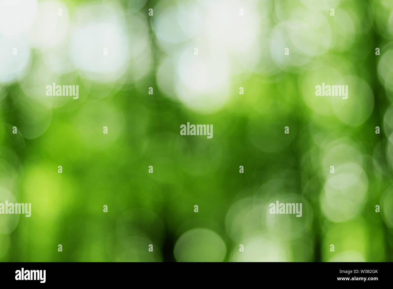 Abstract image. Blurry lights on green background. Stock Photo
