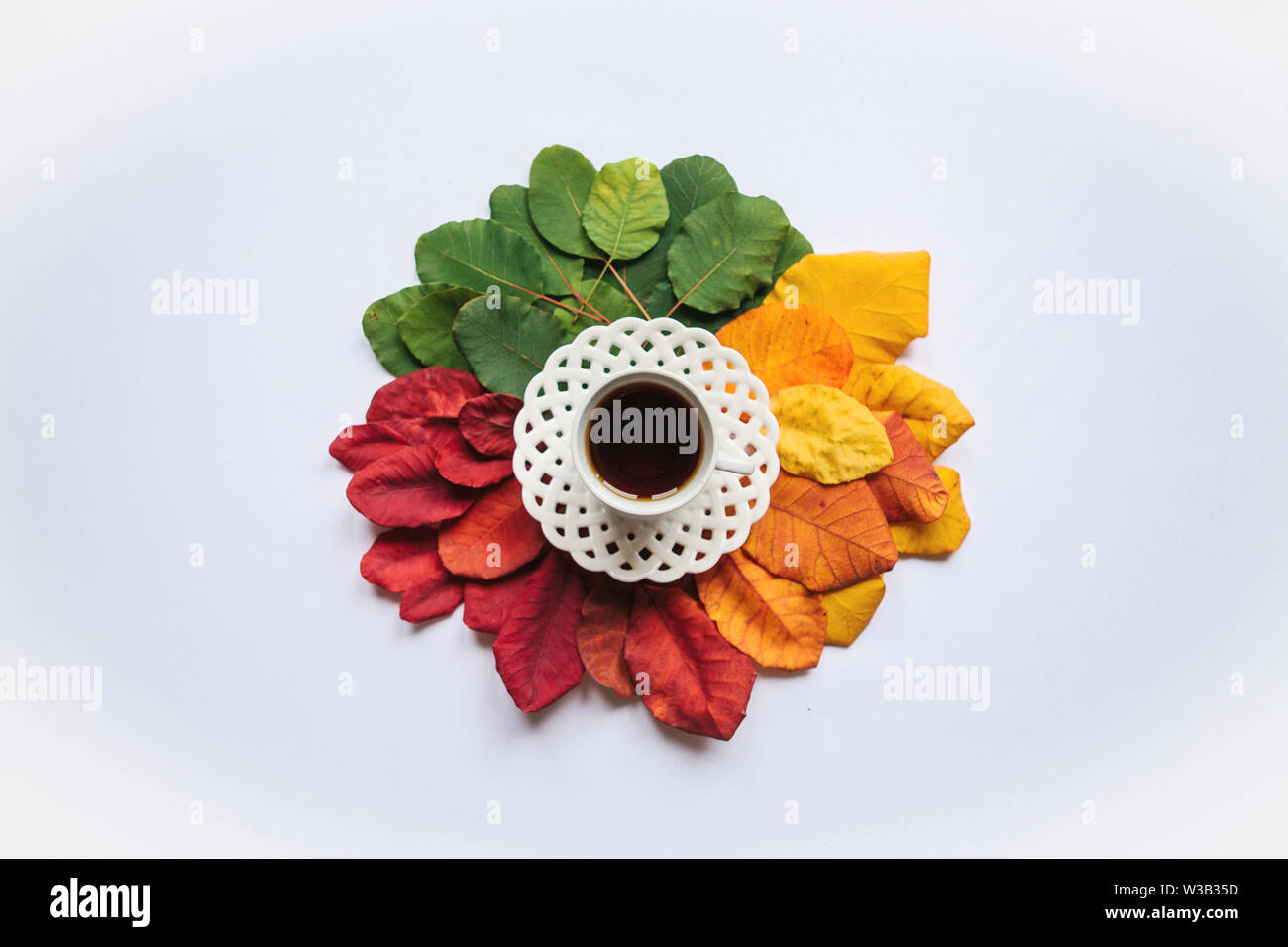 A cup of black tea and colorful leaves on a white background. Autumn ...