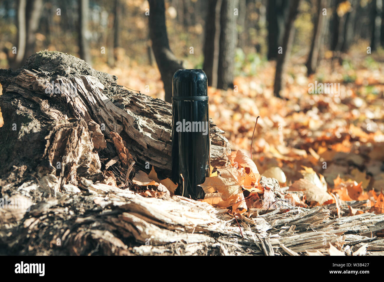 Thermos on the background of autumn leaves in the autumn forest Stock Photo