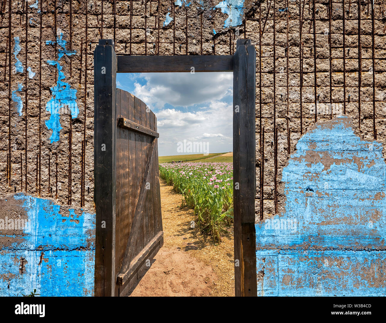 Gate in an Opium poppy field, Germerode, Werra-Meissner district, Hesse, Germany, photomontage Stock Photo