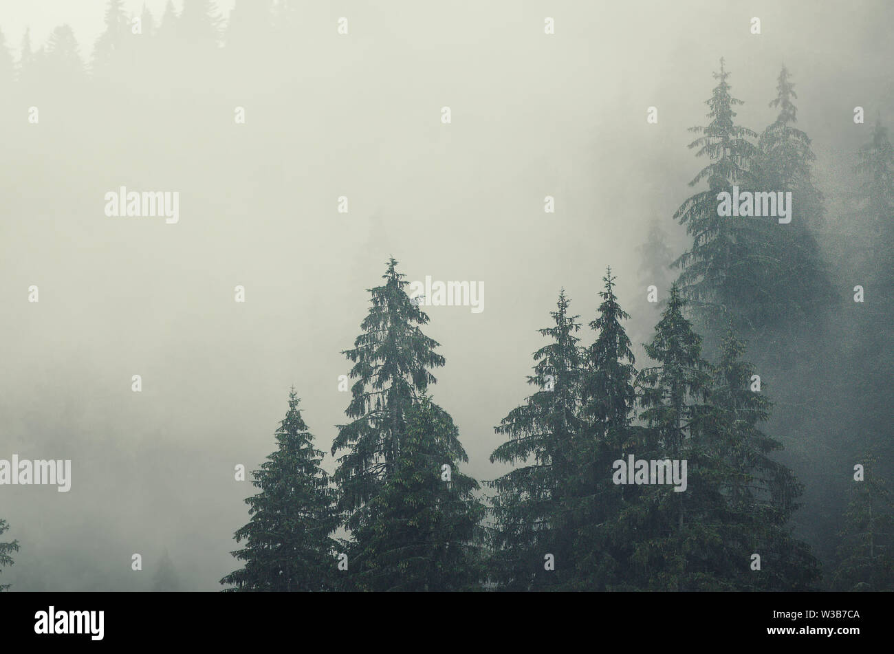 Misty mountain landscape Stock Photo - Alamy
