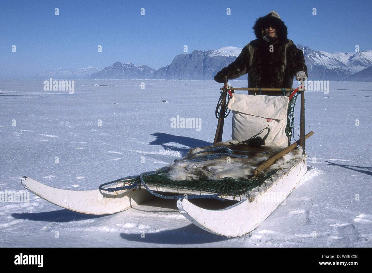 TOURIST IN SEALSKIN OUTFIT FOR DOG SLED RIDE ON THE FROZEN SEA ICE IN GREENLAND. Stock Photo