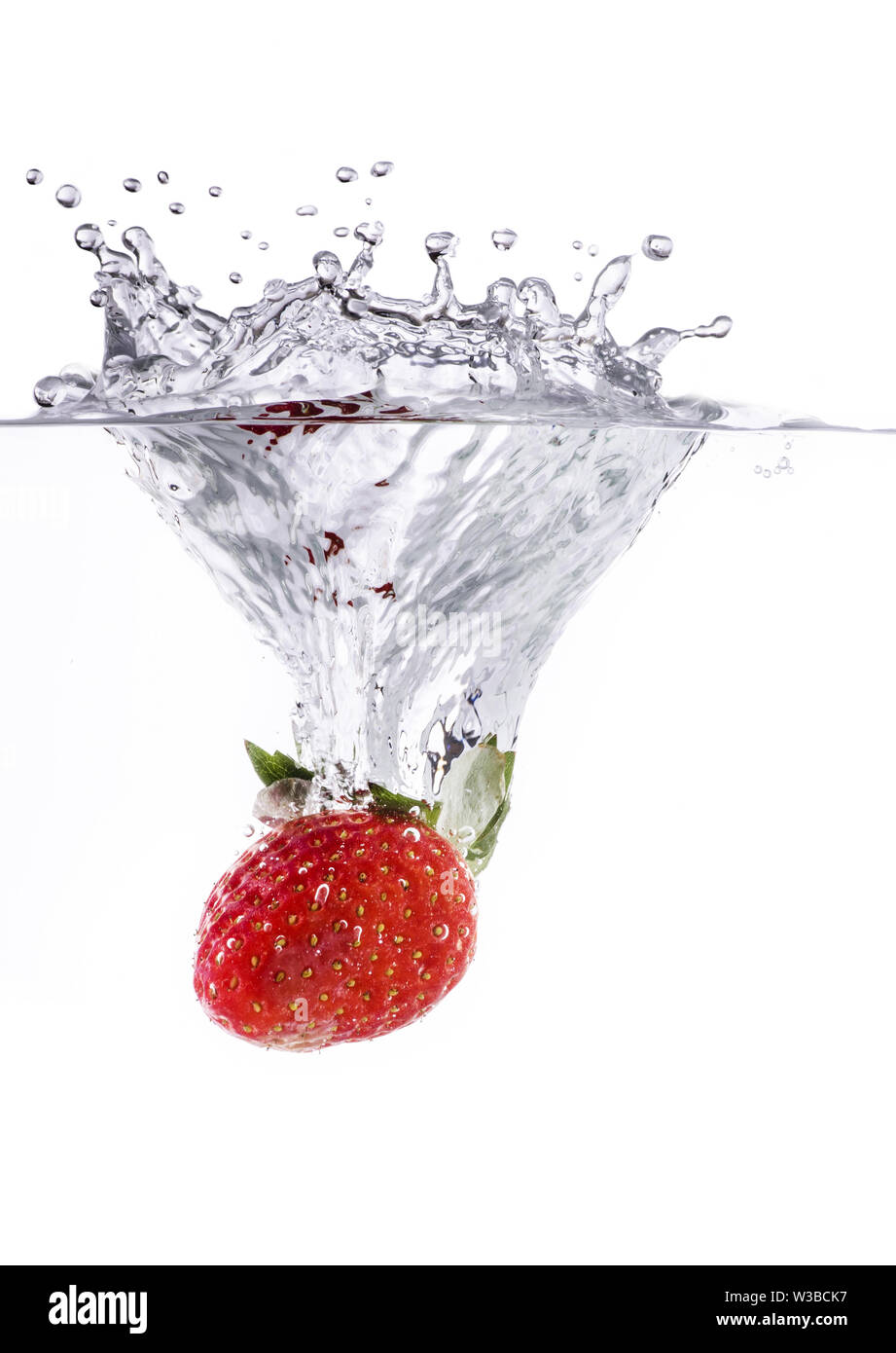 Immersion in nature Cut Out Stock Images & Pictures Alamy