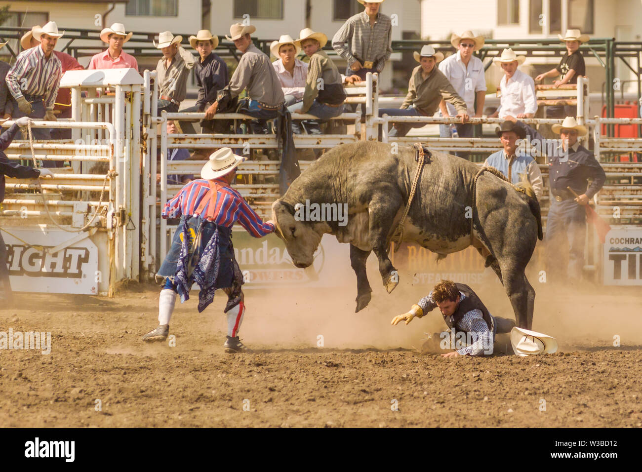 Rodeo event in Cochrane, Alberta, Canada Stock Photo - Alamy