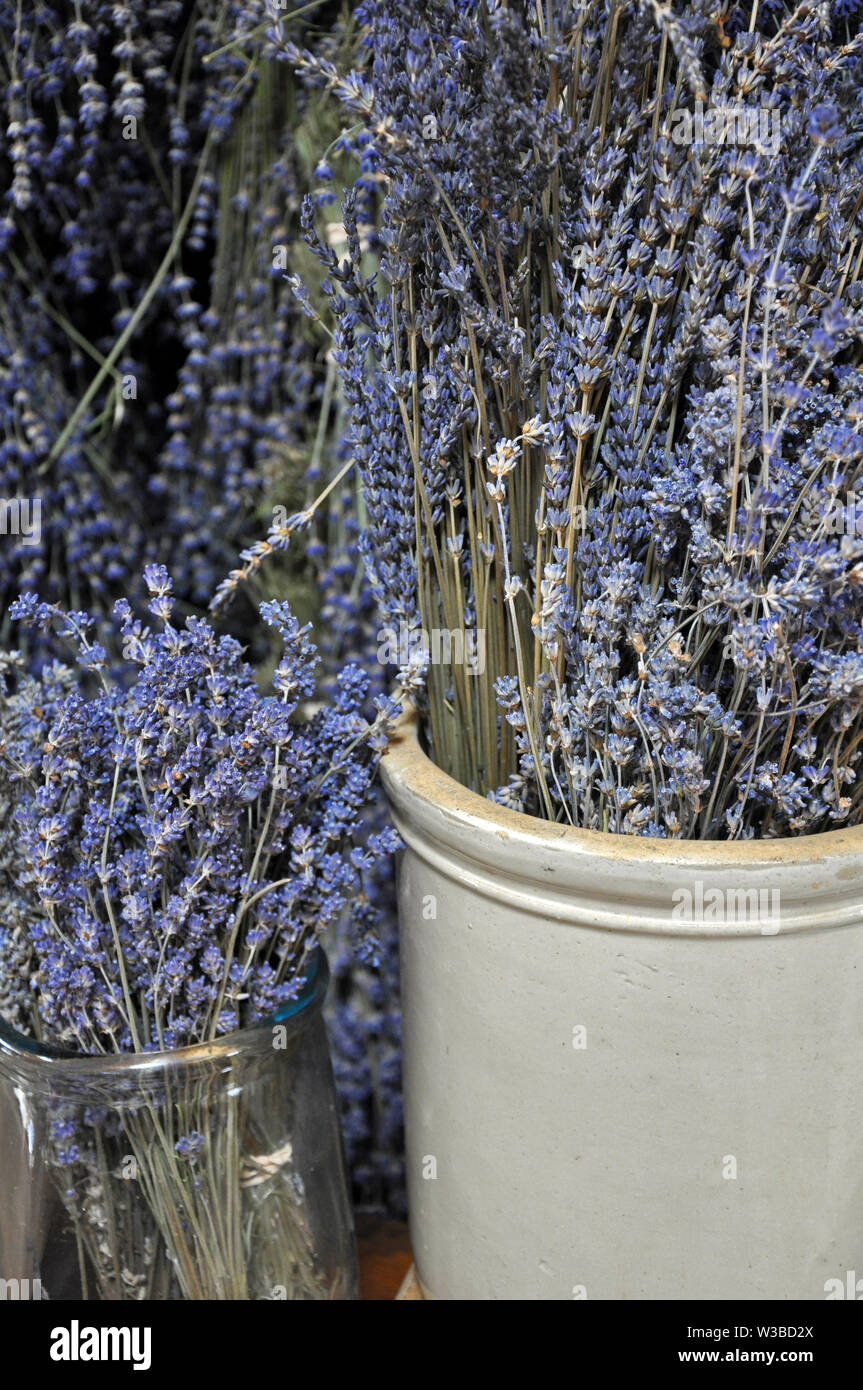 Bunches of fragrant dried lavender flowers on display Stock Photo