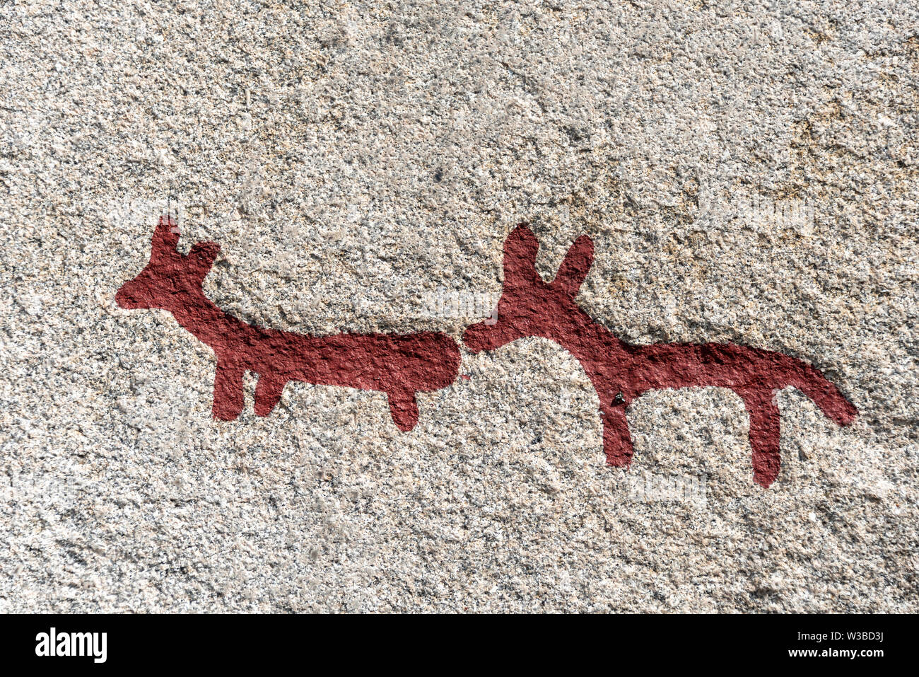 Tanumshede, Sweden - July 9, 2019: View of more than 2000 years old rock paintings in Tanumshede. The carvings belong to the Unesco World Heritage. Stock Photo