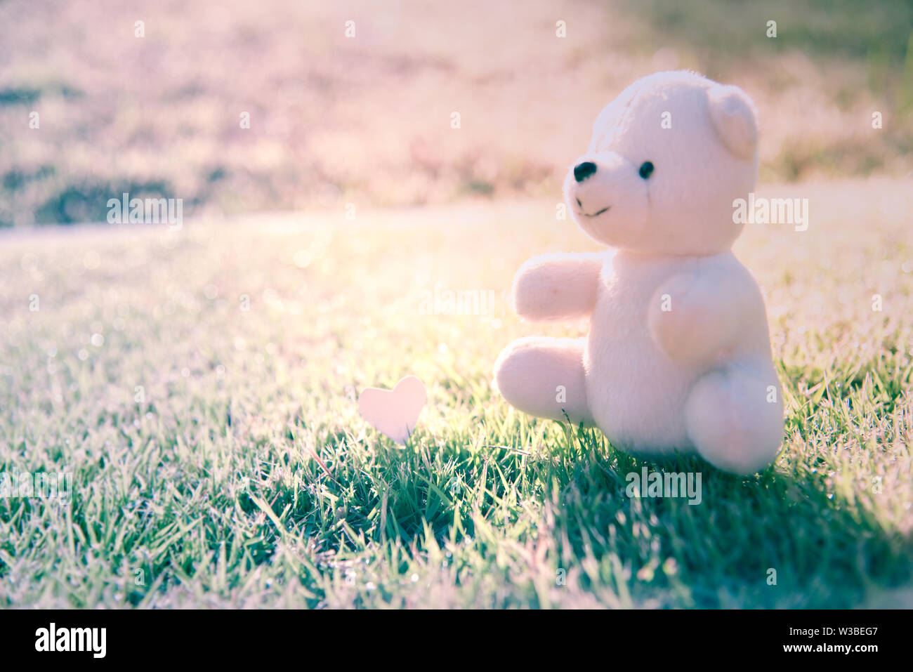 Teddy bear autumn hi-res stock photography and images - Alamy
