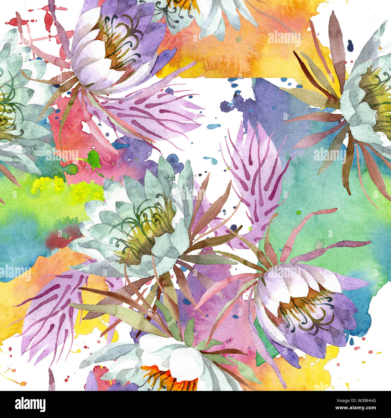 White epiphillum oxypetallim floral botanical flowers. Watercolor