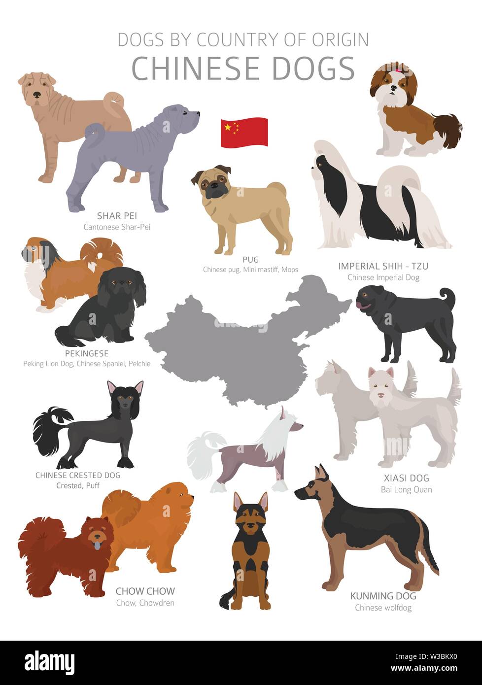 Dogs by country of origin. Chinese dog breeds. Shepherds, hunting, herding, toy, working and service dogs  set.  Vector illustration Stock Vector
