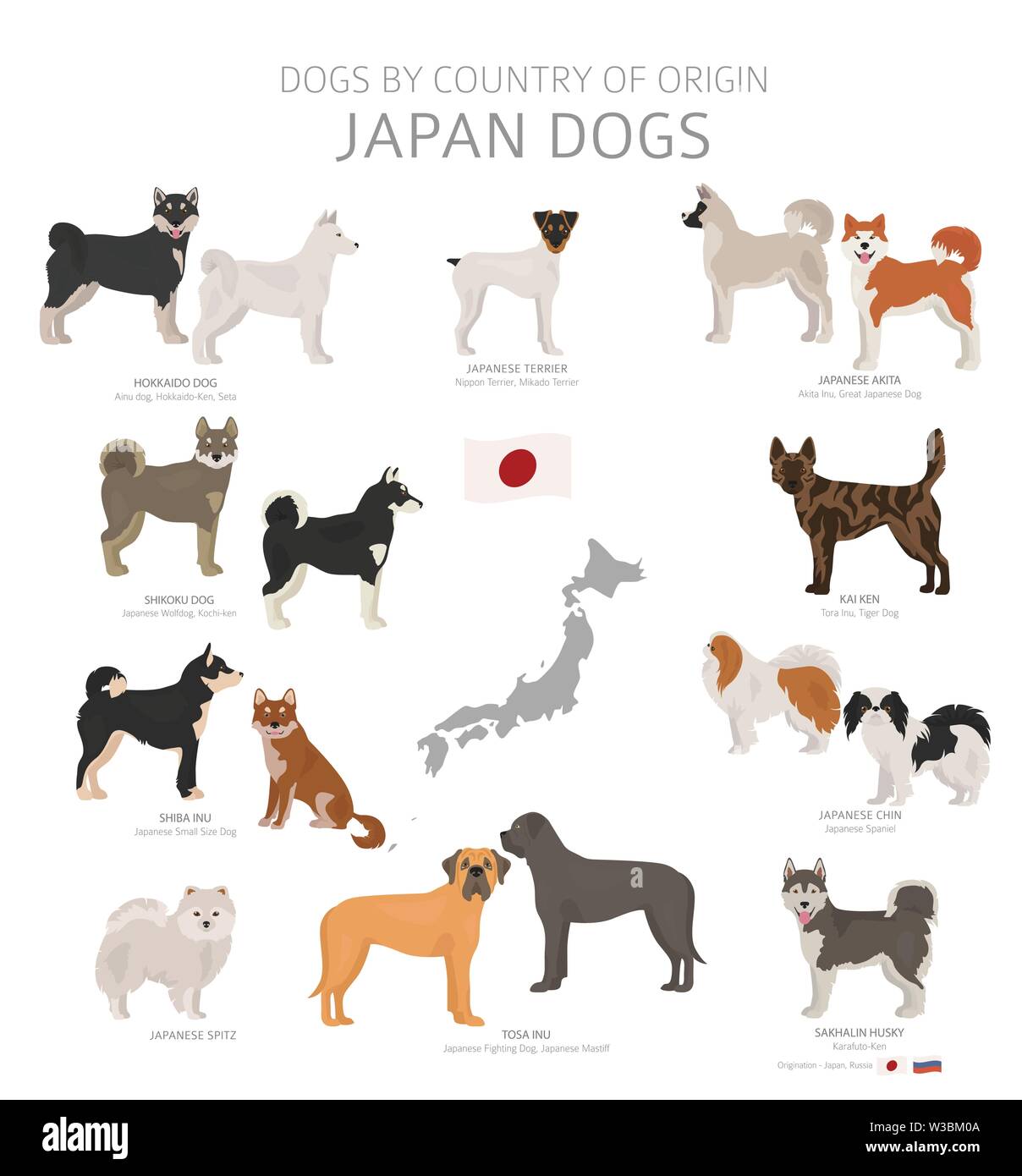 Dogs by country of origin. Japanese dog breeds. Shepherds, hunting, herding, toy, working and service dogs  set.  Vector illustration Stock Vector