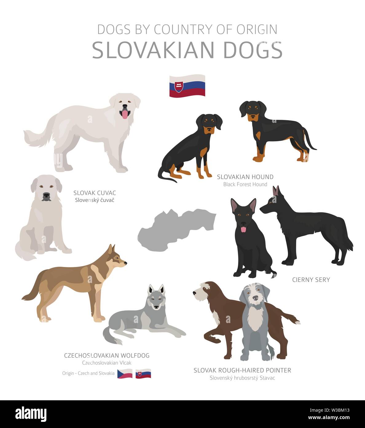 Dogs by country of origin. Slovakian dog breeds. Shepherds, hunting, herding, toy, working and service dogs  set.  Vector illustration Stock Vector