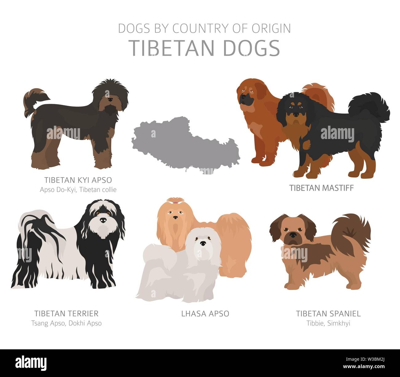 Dogs by country of origin. Tibetan dog breeds. Shepherds, hunting, herding, toy, working and service dogs  set.  Vector illustration Stock Vector