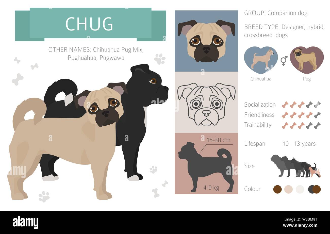 Chug names store