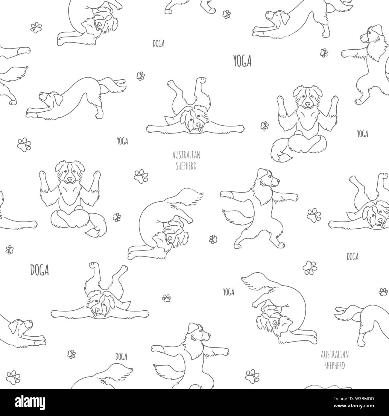 Yoga dogs poses and exercises. Australian shepherd seamless pattern