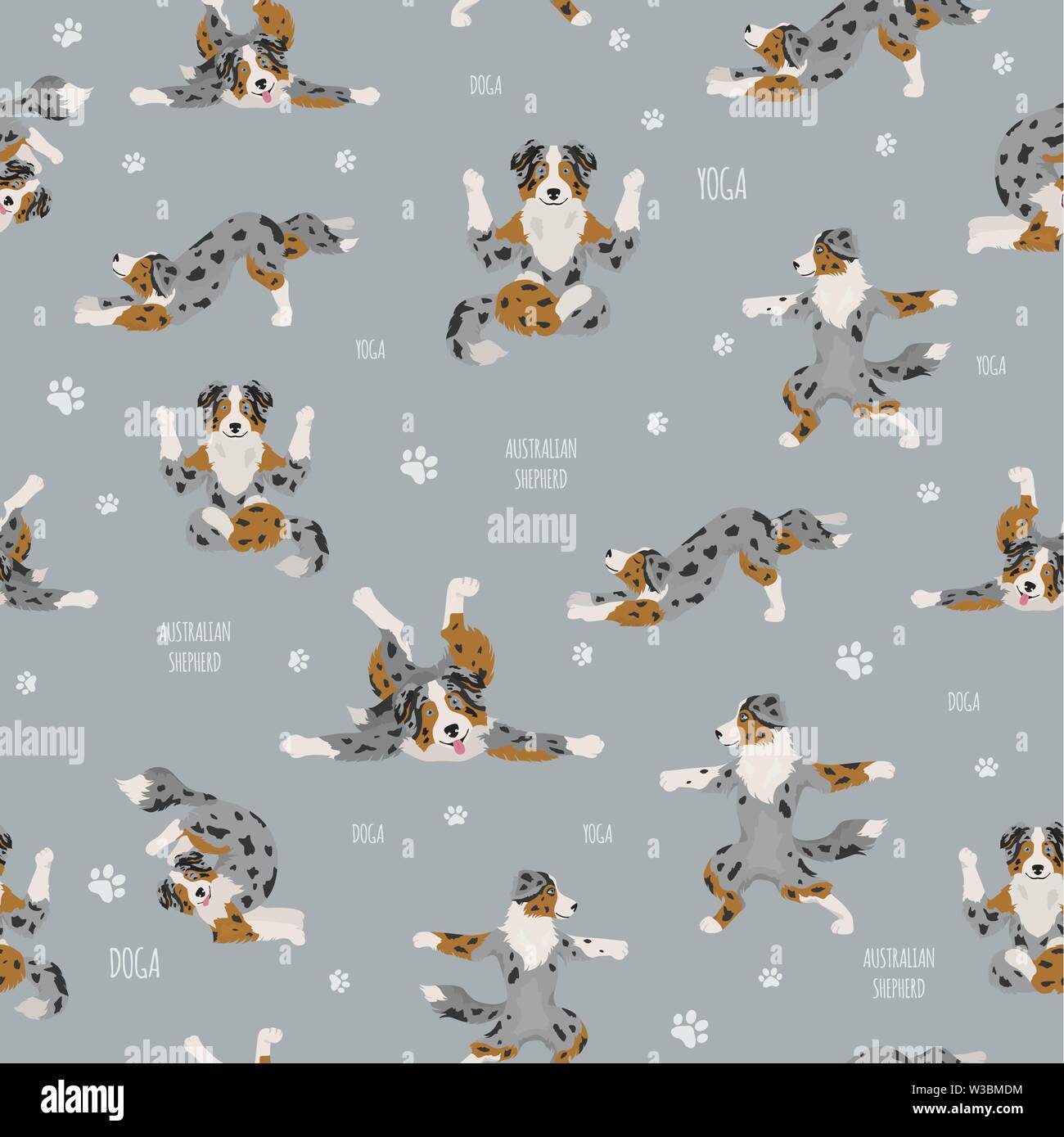 Yoga dogs poses and exercises. Australian shepherd seamless pattern