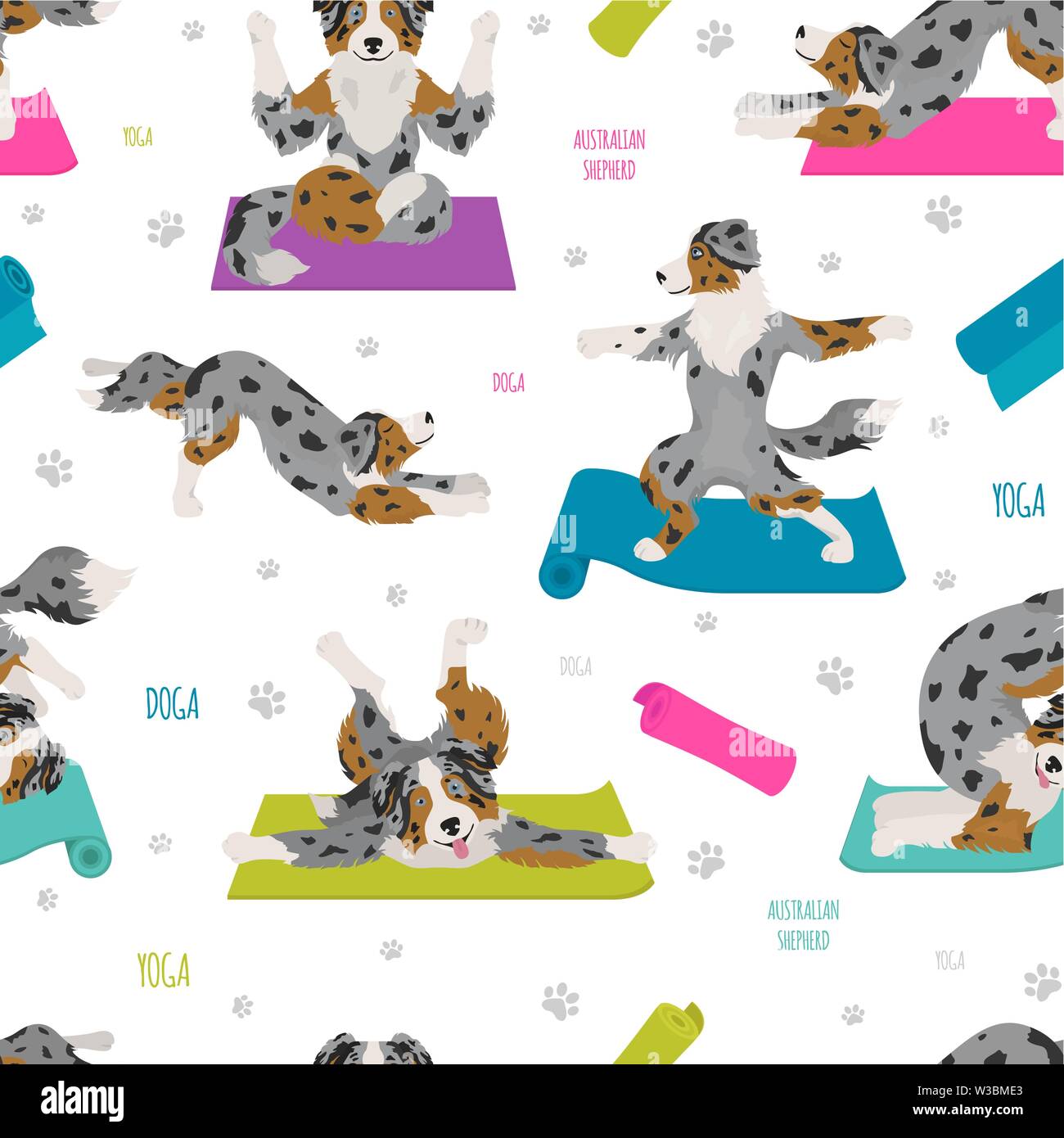 Yoga dogs poses and exercises. Australian shepherd seamless pattern