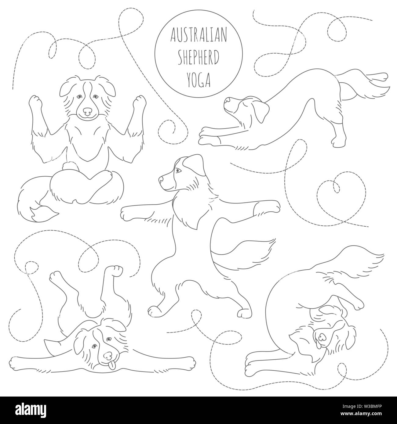 Yoga dogs poses and exercises. Australian shepherd clipart. Vector