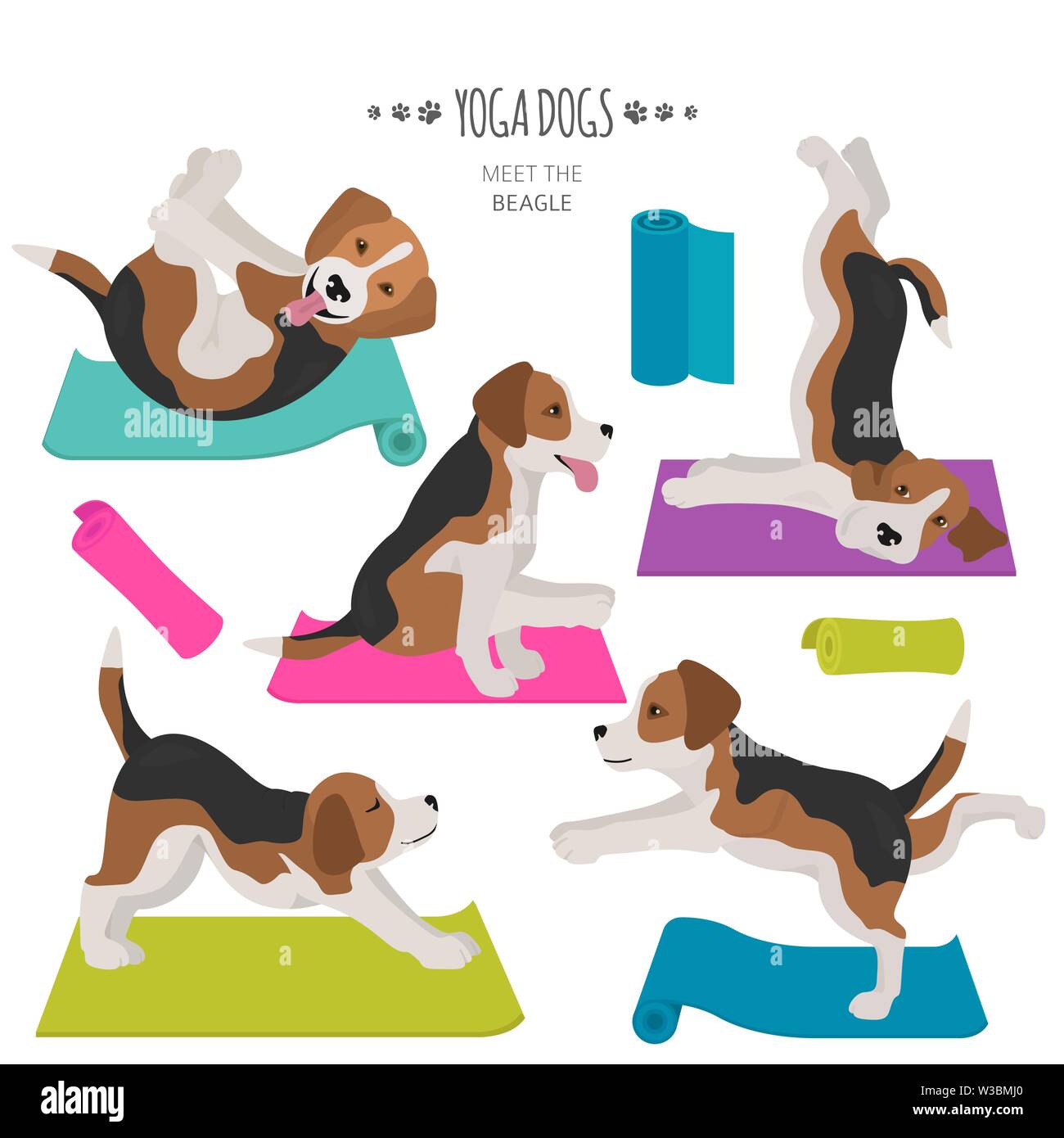 Yoga dogs poses and exercises. Beagle clipart. Vector illustration