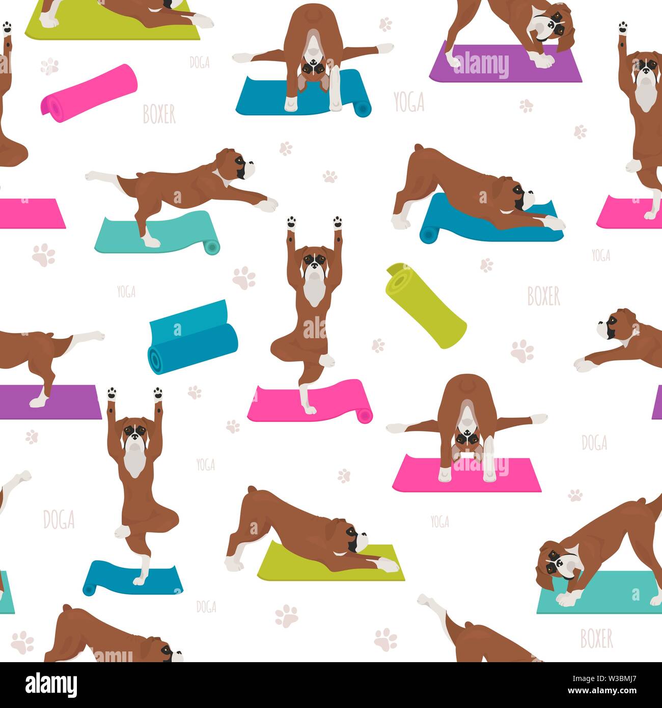 Yoga dogs poses and exercises. Boxer dog seamless pattern. Vector