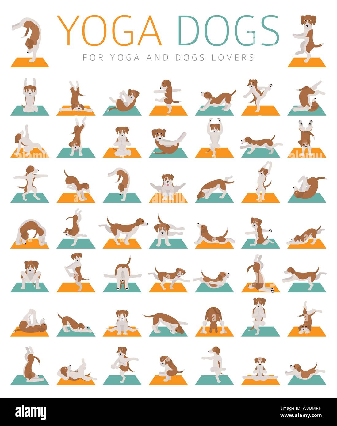 Yoga dogs poses and exercises doing clipart. Funny cartoon poster design.  Vector illustration Stock Vector Image & Art - Alamy