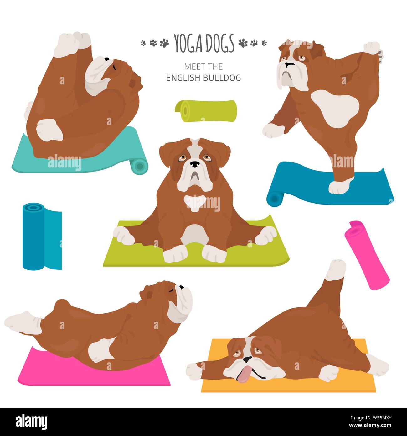 Yoga dogs poses and exercises. English bulldog clipart. Vector illustration Stock Vector
