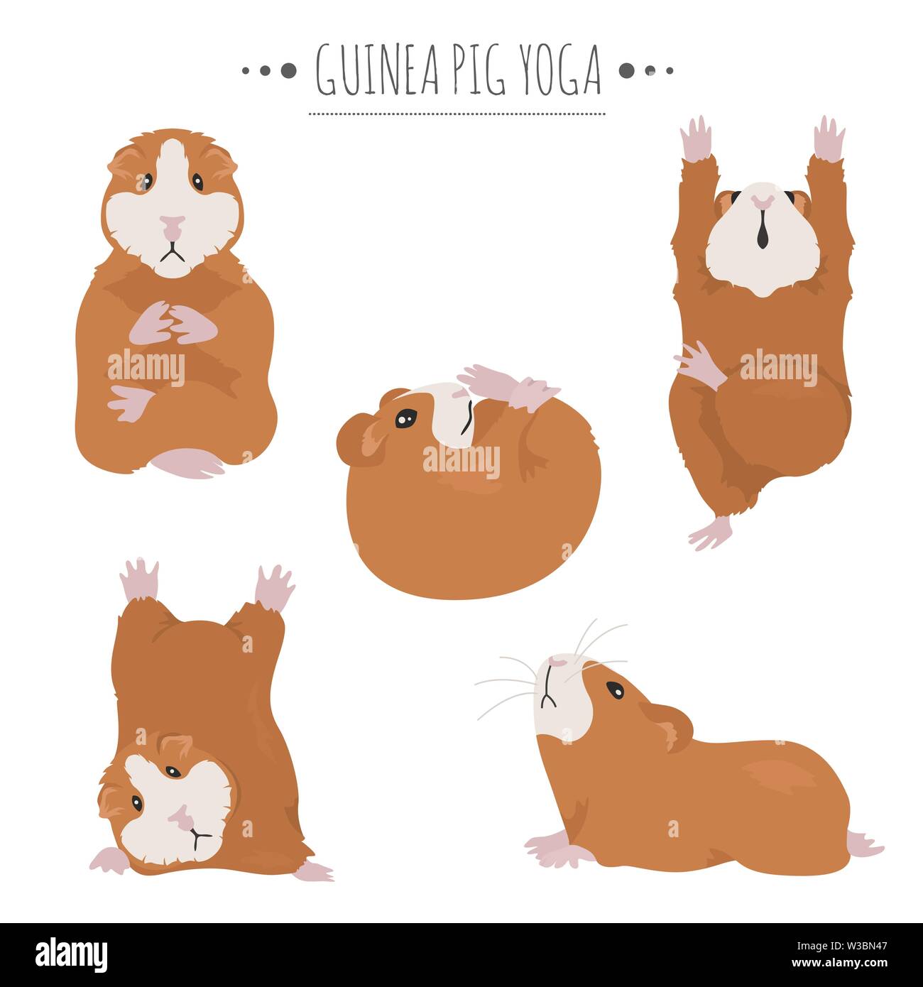 Curated visual reference: Gallery Detail: Guinea Pig Yoga Poses And Exercises Cute Cartoon Clipart Set