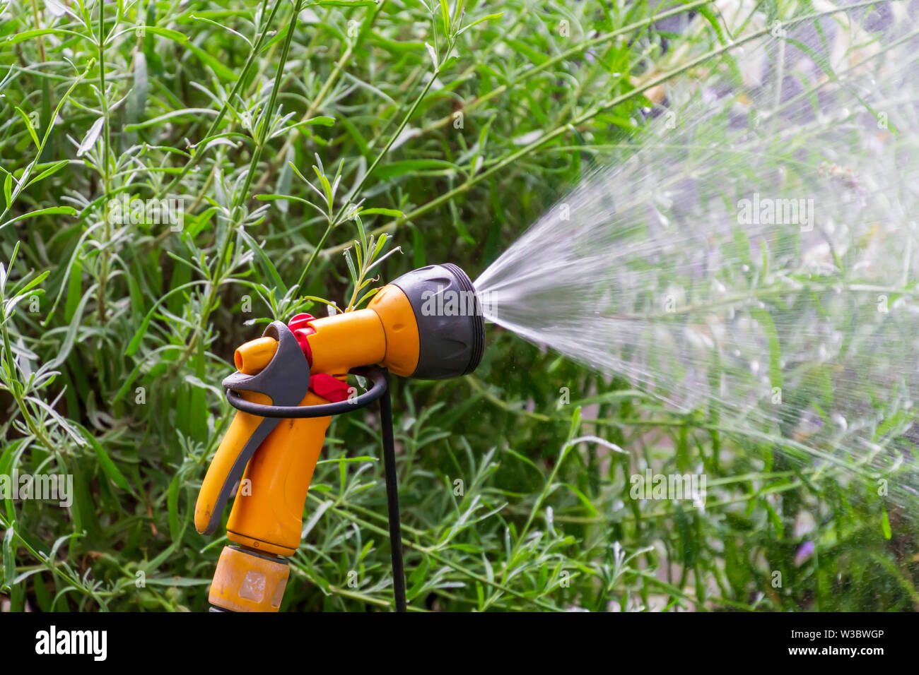 Garden Spray Watering Sprinkler Portable Waterer Flower Watering Nozzle /KT 