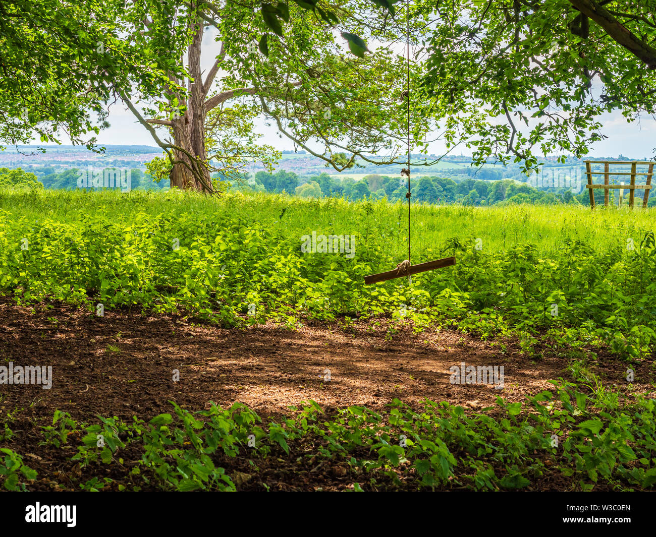 Leafy woodland hi-res stock photography and images - Alamy