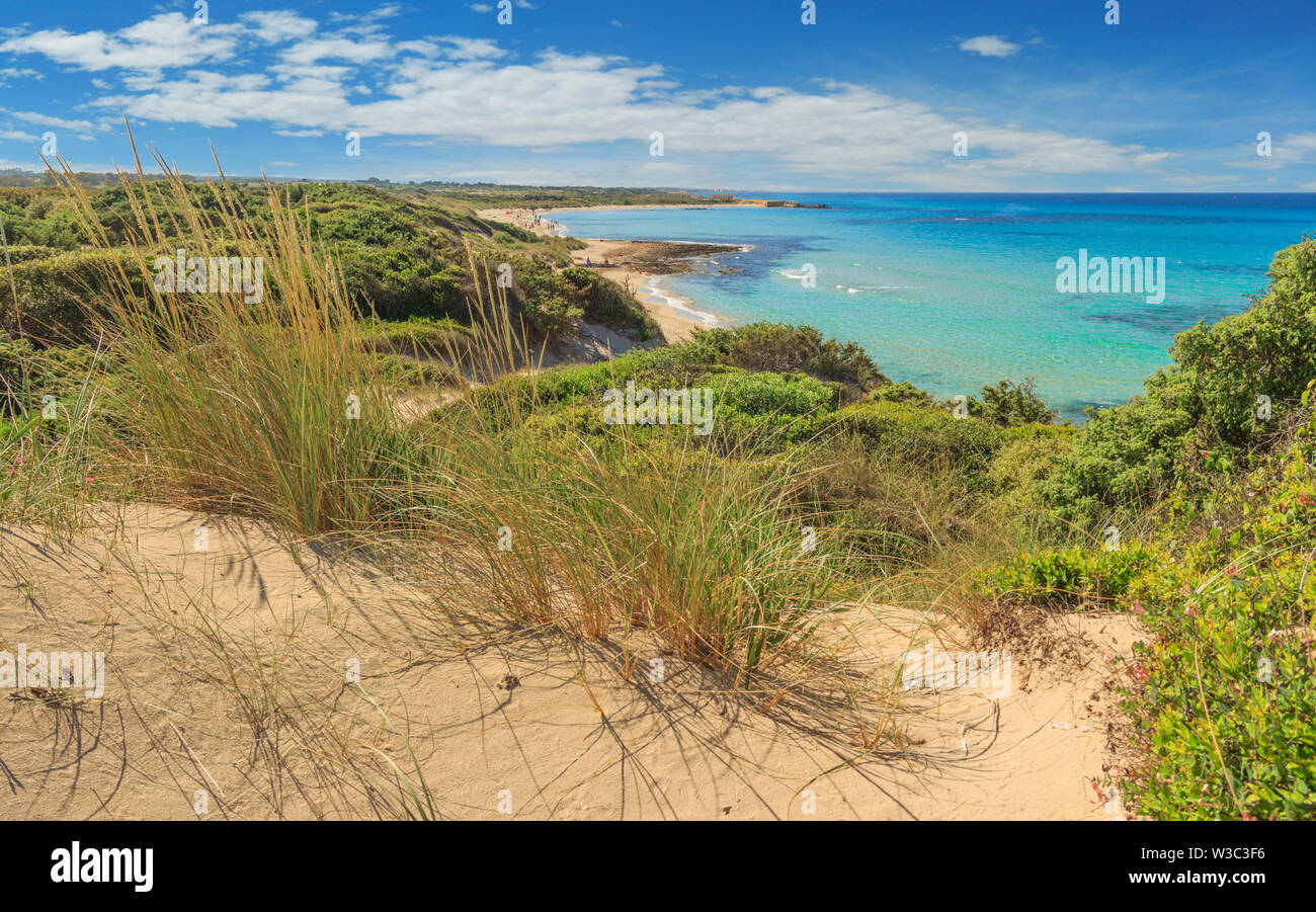 Torre Guaceto Nature Reserve: a nature sanctuary between the land and the sea.Italy (Apulia). Stock Photo