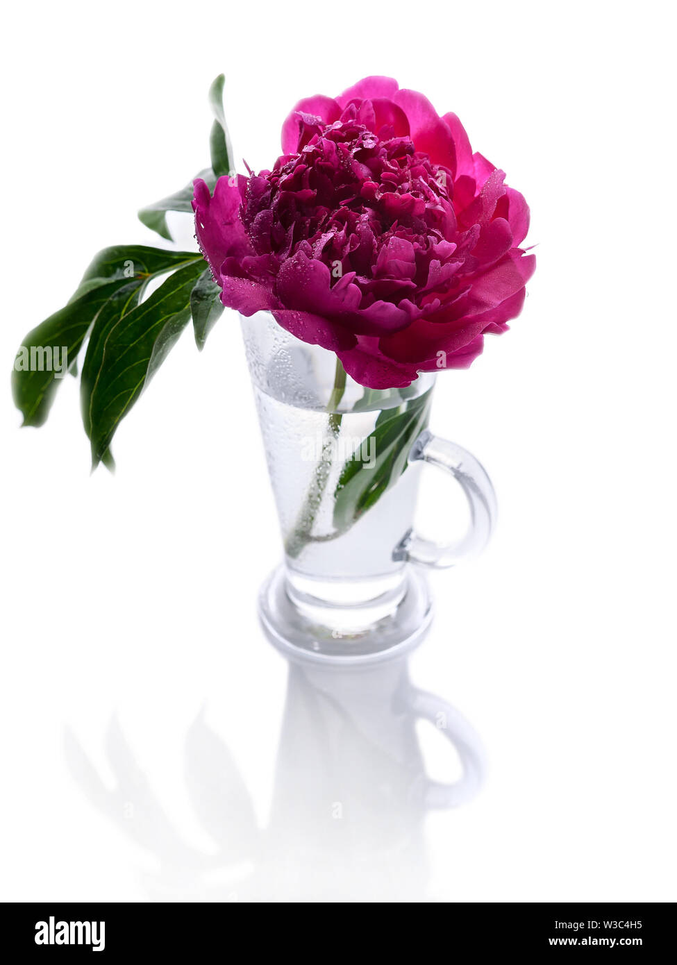 Peonies in a glass vase isolated on white background. Romantic gift. Vertical shot Stock Photo