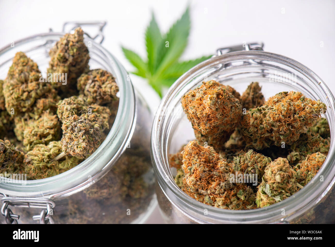 Detail of cannabis buds on clear glass jars isolated on white medical