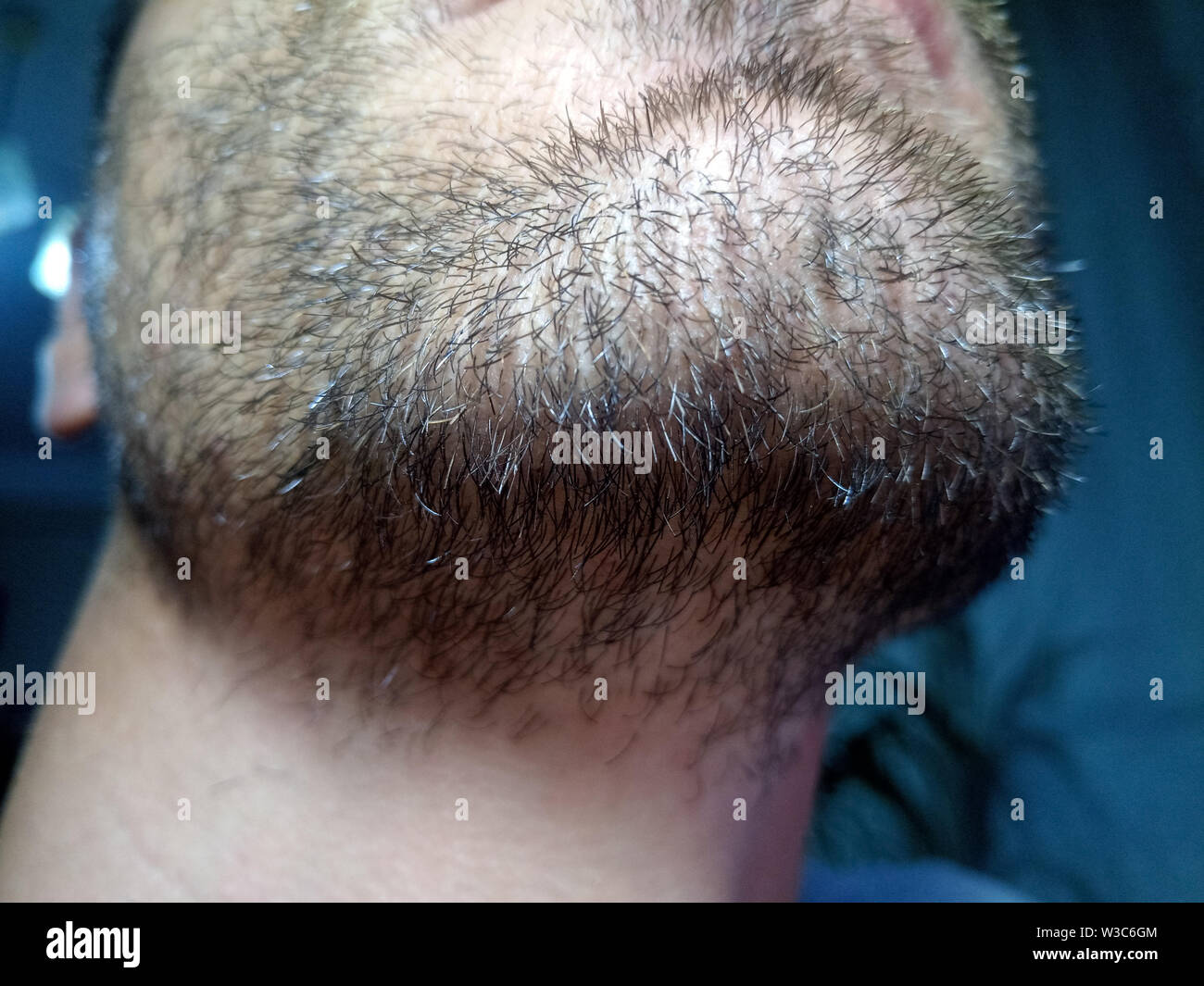 Bearded young man, stubble near. Unshaven more than a week. Hair on the  face of a man, a short beard Stock Photo - Alamy