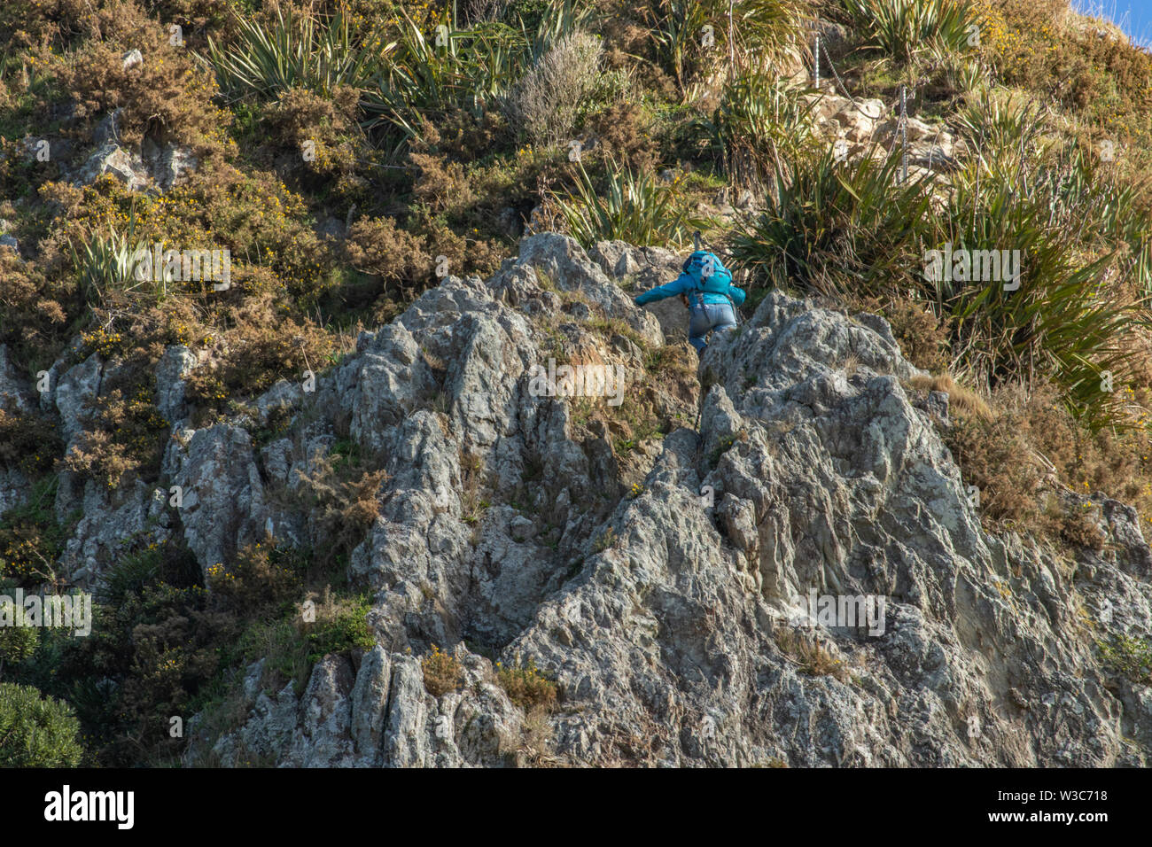 Woman descending steep path down rock in New Plymouth, New Zealand Stock Photo