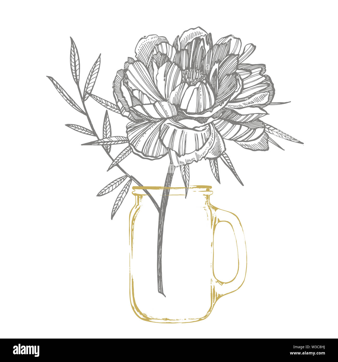 Рисунок листа пиона