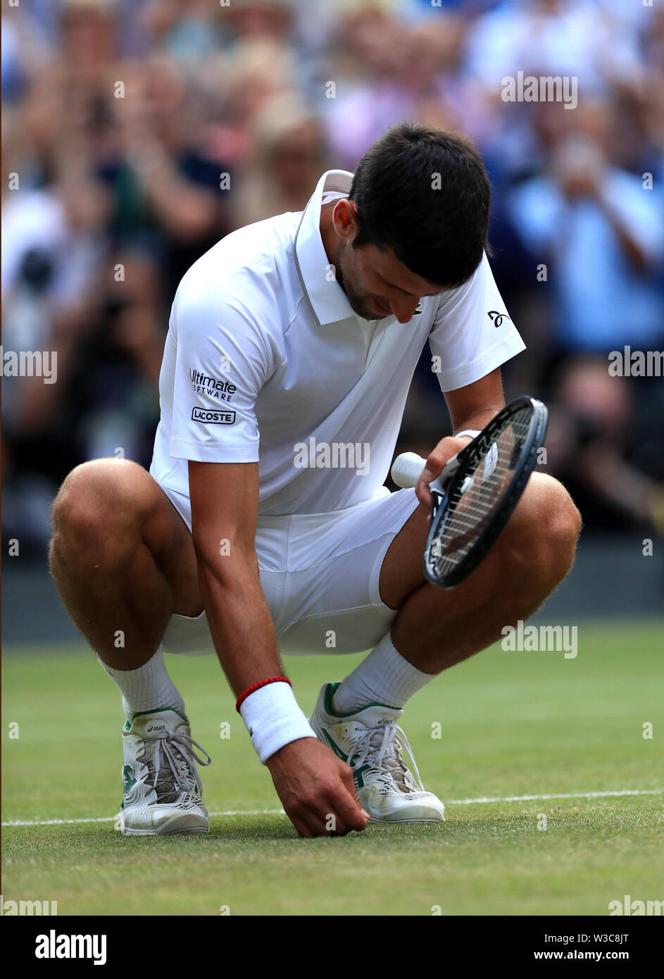 Novak Djokovic celebrates defeating Roger Federer following the men's  singles final by eating some of the grass on day thirteen of the Wimbledon  Championships at the All England Lawn Tennis and Croquet